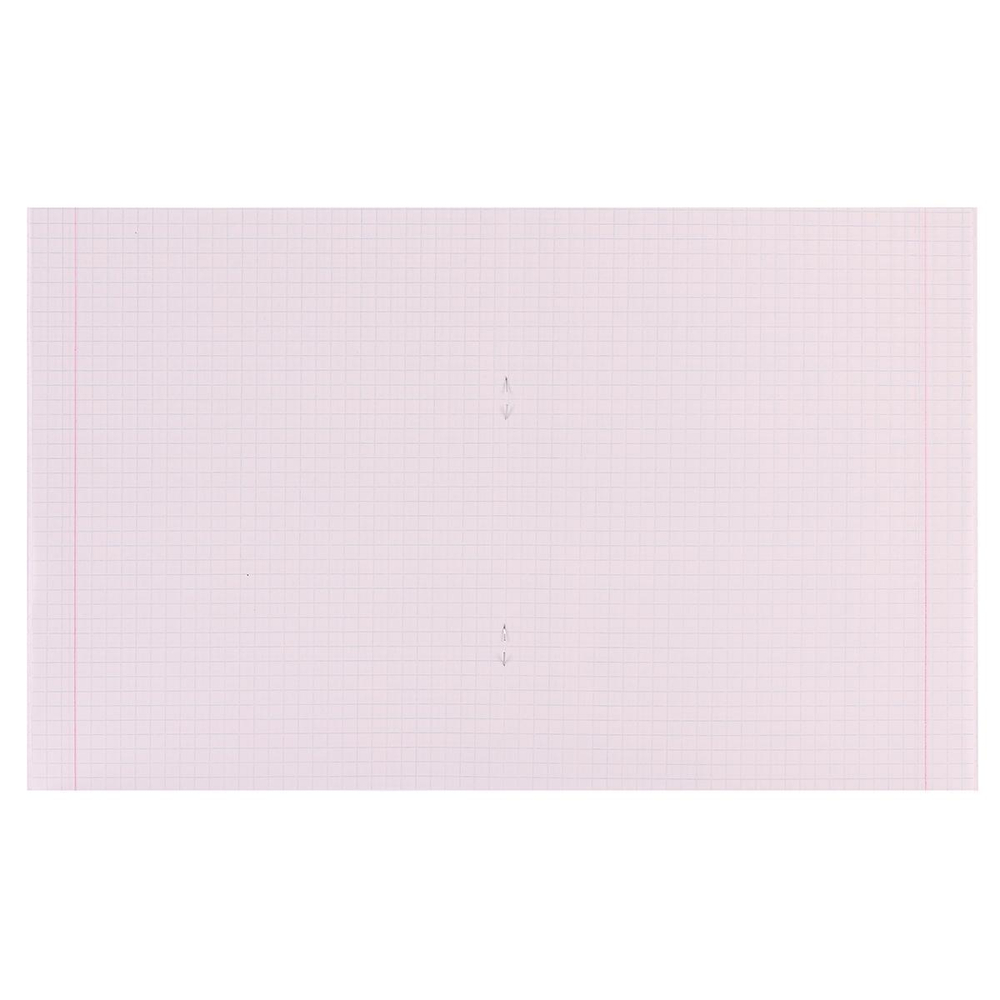 Тетрадь школьная А5 48л. клетка, офсет №1(обложка картон) в ассорт.(92%) (КПК)