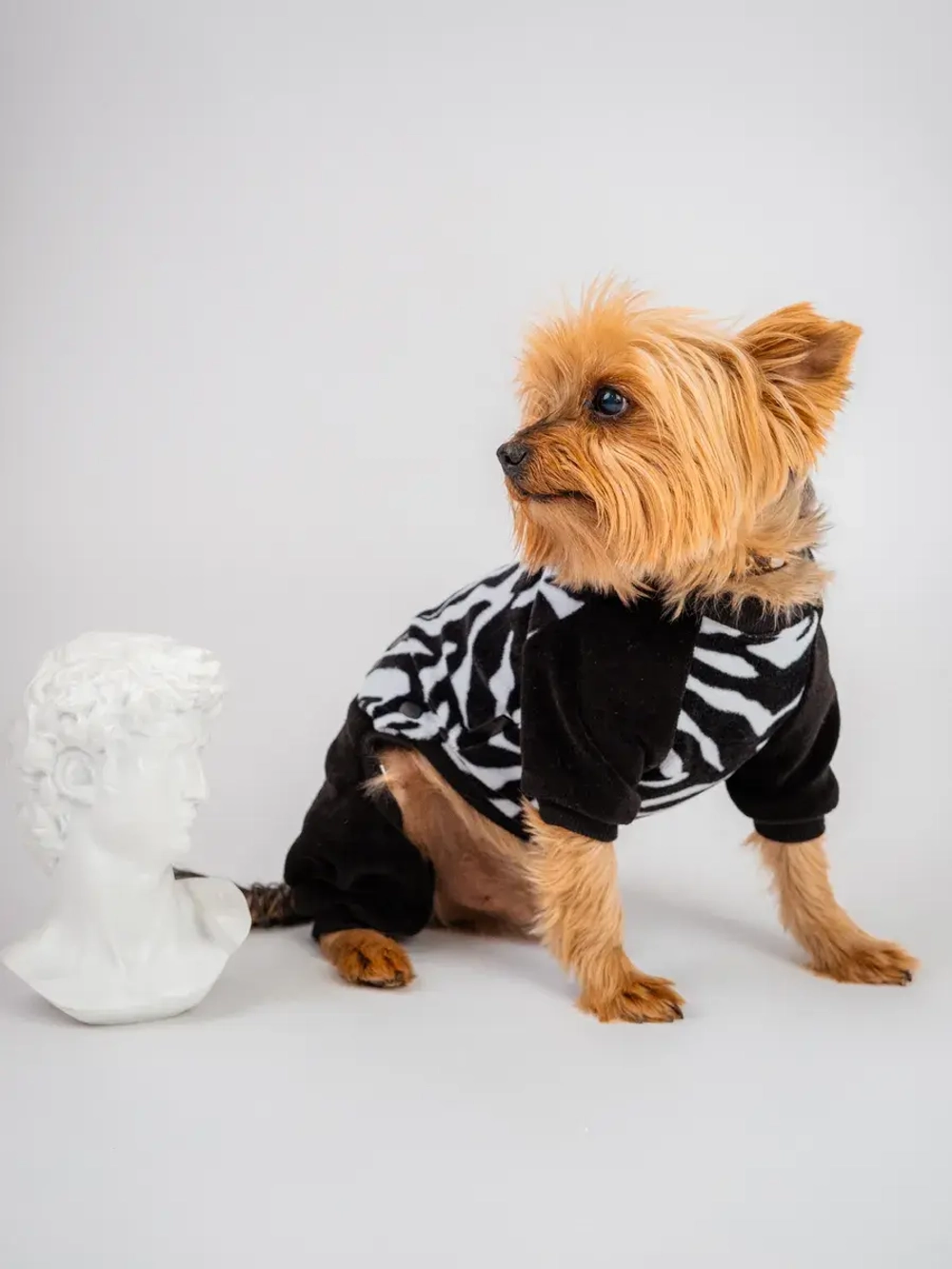 Комбинезон костюм для собак и кошек