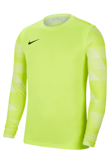 Вратарская кофта Nike Dry Park IV LS GK