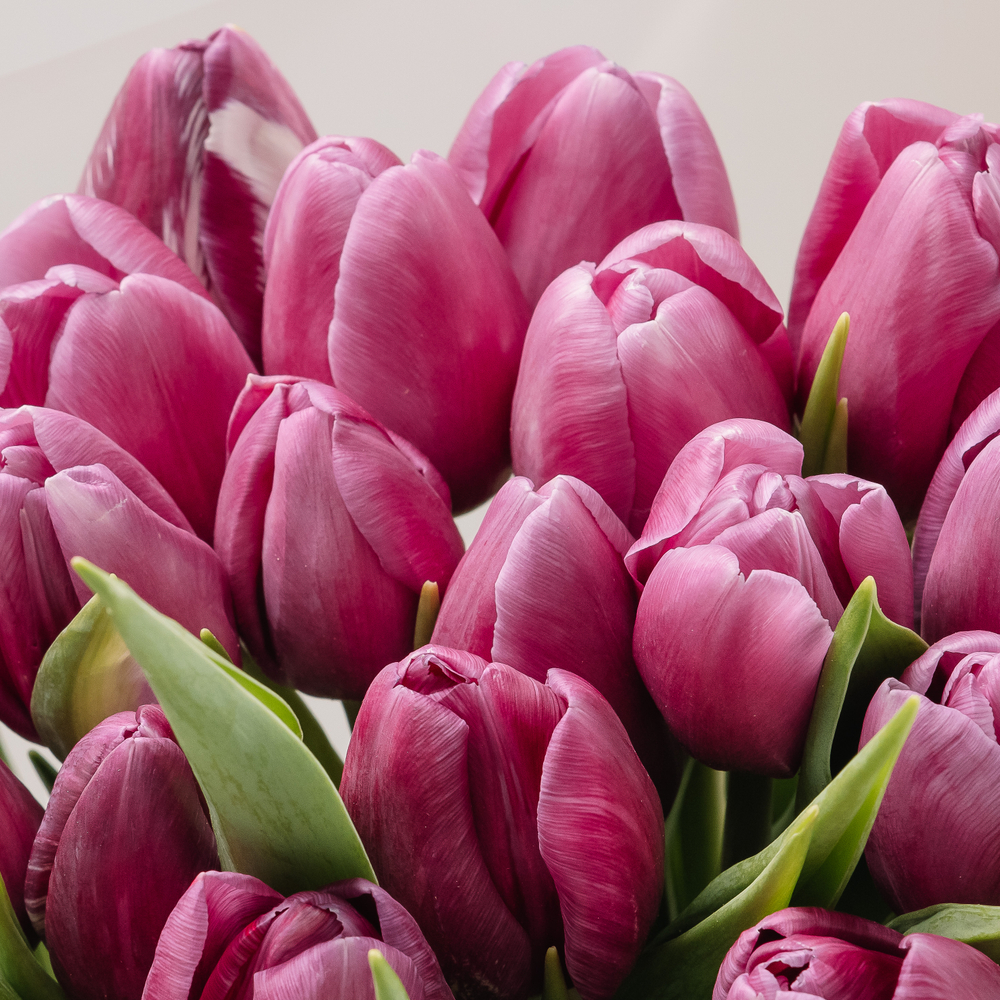 Моно- букет (цвет сирень)