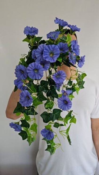 Петунья / Арт 4055