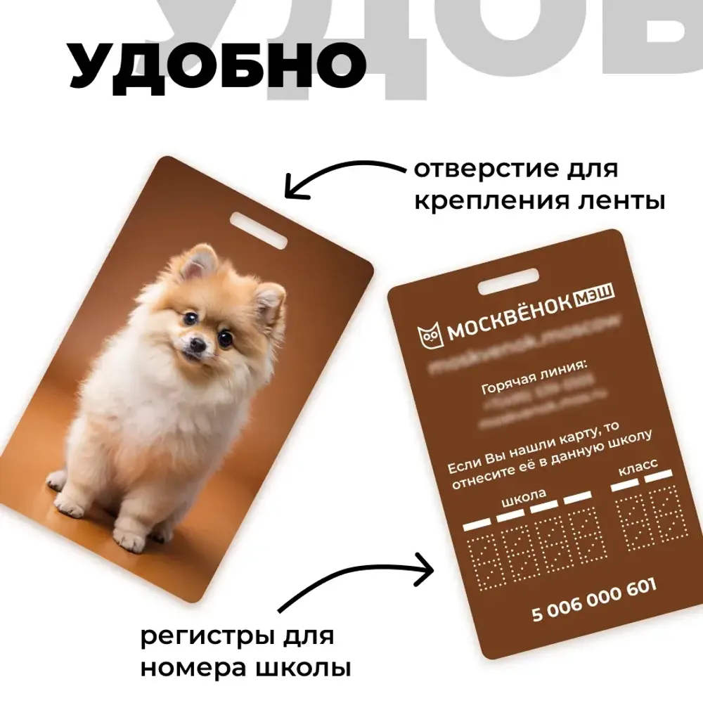 Карта Москвёнок DOGS №12 (проход + питание)