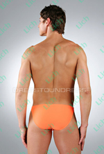 Мужские плавки Нерон D2U