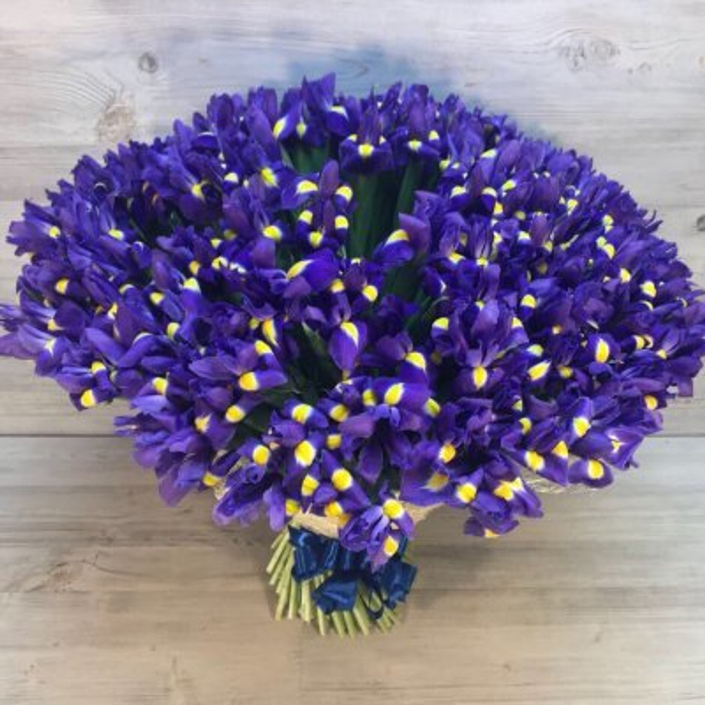 Букет из 151 ириса