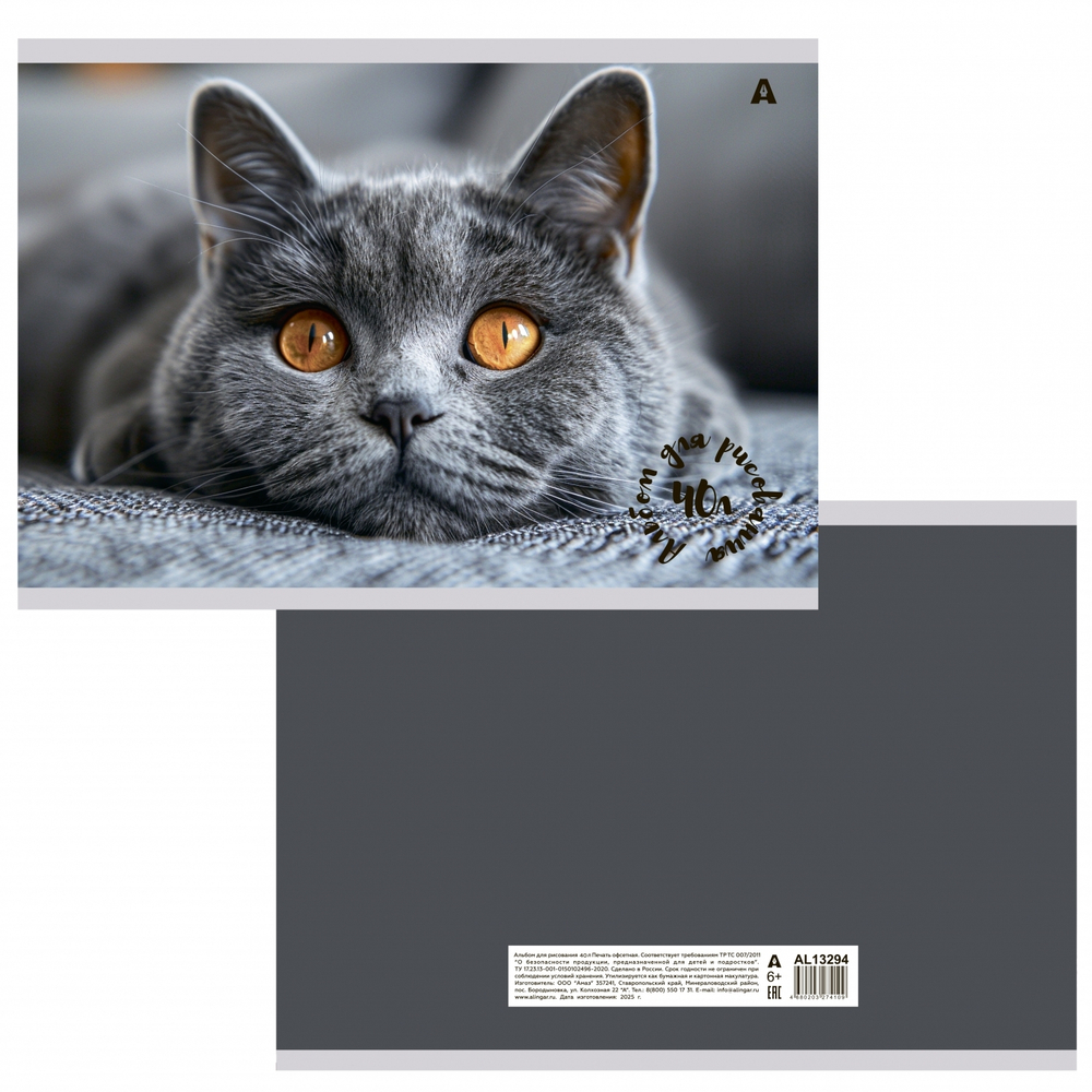 Альбом для рисования А4 40л, Alingar, гребень, мелованный картон(стандарт) 210г/м2, офсет 100 г/м2,, "Котик", 1 дизайн в пленке т/у