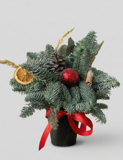 Комбозиция в стаканчике «Праздничный уют»