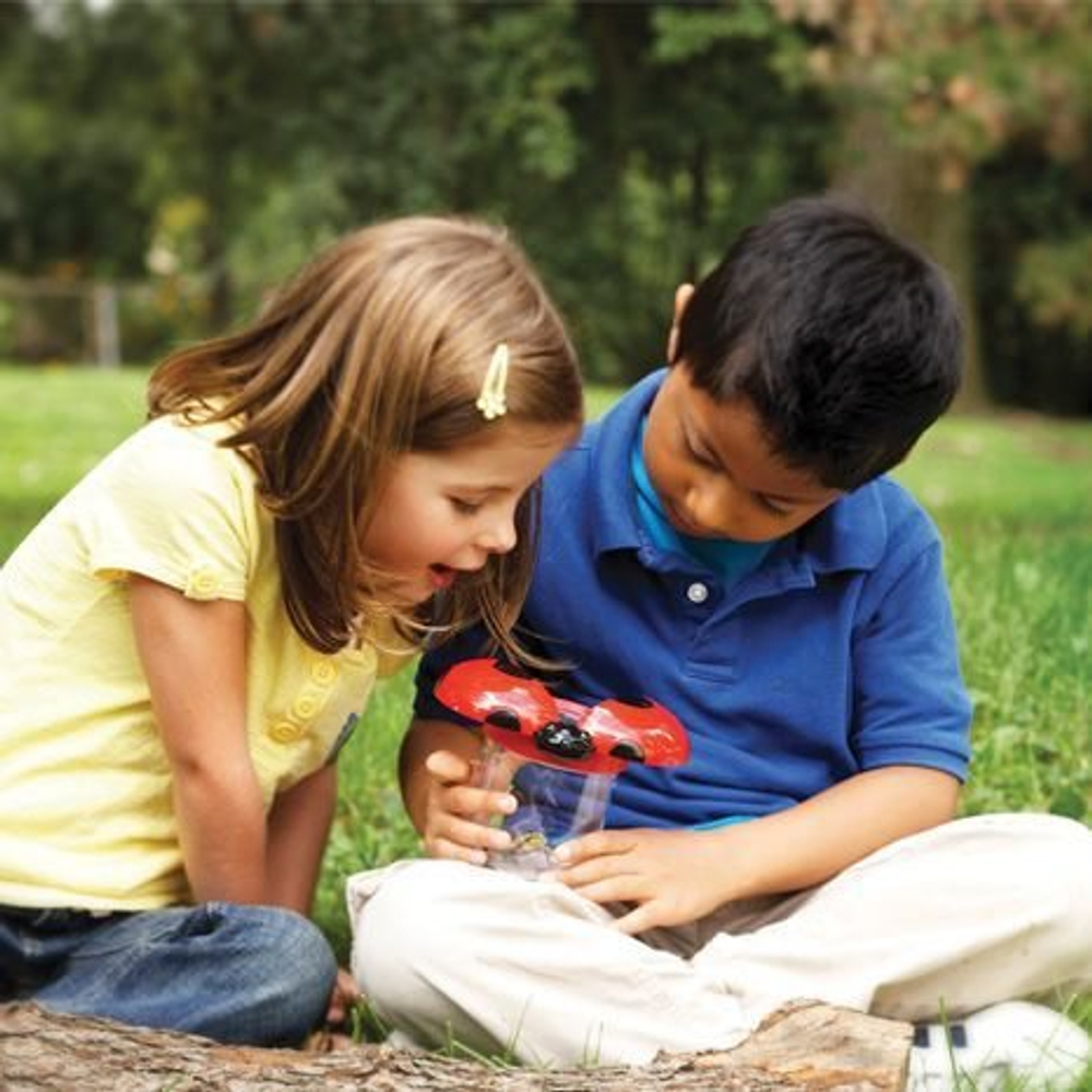 Набор баночек Божья коровка, 6 шт