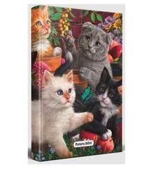 Halk Bahçe Kedileri Planlama Defteri