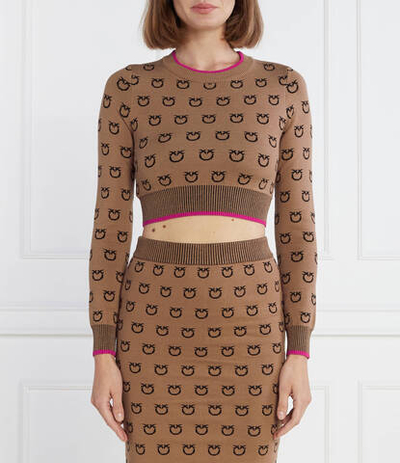 Свитер Pinko - коричневый(101561 A112)