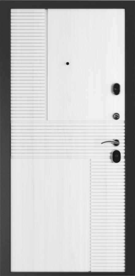 Дверь входная Токио