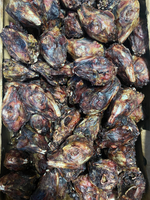 Головы кролика (сушеное лакомство) (цена за 100гр)