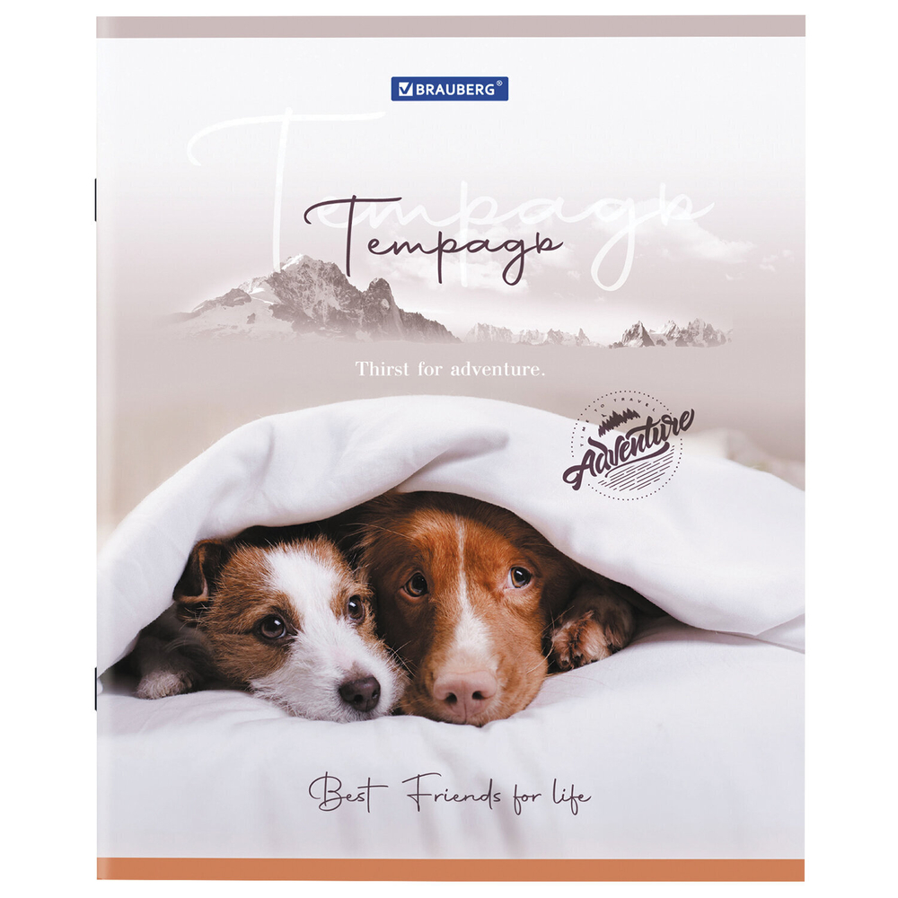 Тетрадь А5 48 л. BRAUBERG скоба клетка обложка картон "Best Friends" (микс в спайке) (20 штук в упаковке)