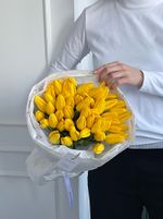 Букет из 51 желтого тюльпана
