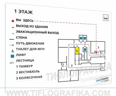470х610 мм (Оргстекло 3 мм) Тактильная мнемосхема ГОСТ, полноцветная