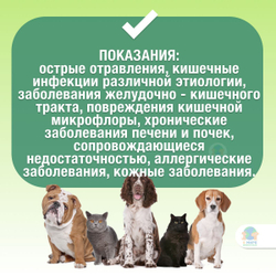 Силма ЭнтероЗоо, суспензия, при отравлении и заболеваниях ЖКТ, саше 15г, 10 шт. Полиметилоксолан.