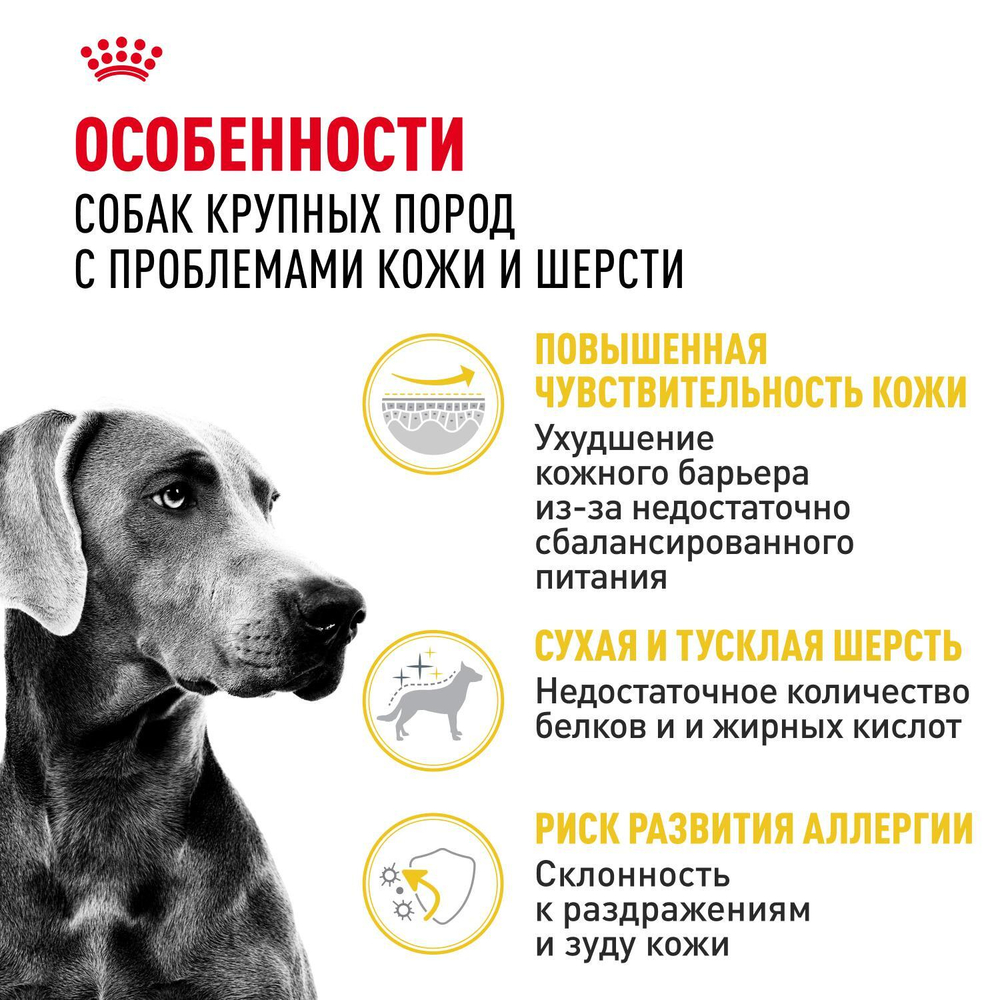 Royal Canin Maxi Dermacomfort Корм сухой для взрослых собак крупных размеров 3кг