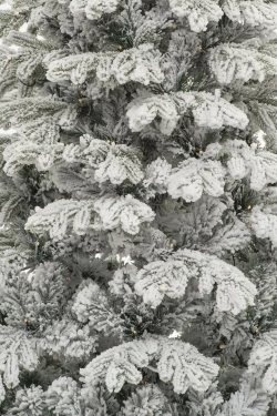 Искусственная елка Аляска заснеженная 270 см., 770 теплых белых LED ламп, литая+пвх, ЕлкиТорг (149270)