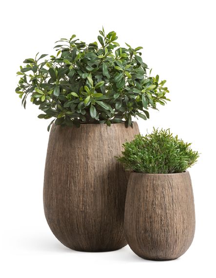 Кашпо TREEZ Effectory - серия Wood - Округлая чаша - Светлый дуб