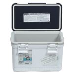 Термобокс SHINWA Holiday Land Cooler 11H белый  /9