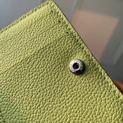 Louis Vuitton Clea Wallet