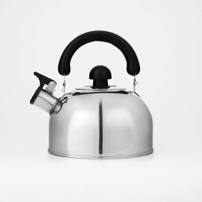 Чайник со свистком из нержавеющей стали Доляна «Чёрная ночь», 2 л, цвет хромированный (Цвет: не задано)