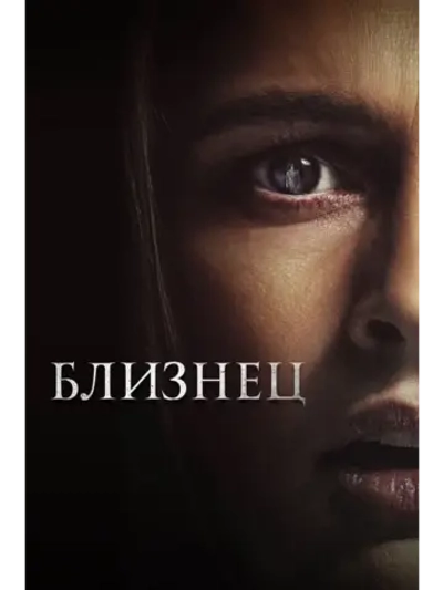 Близнец (2022) (DVD-R)