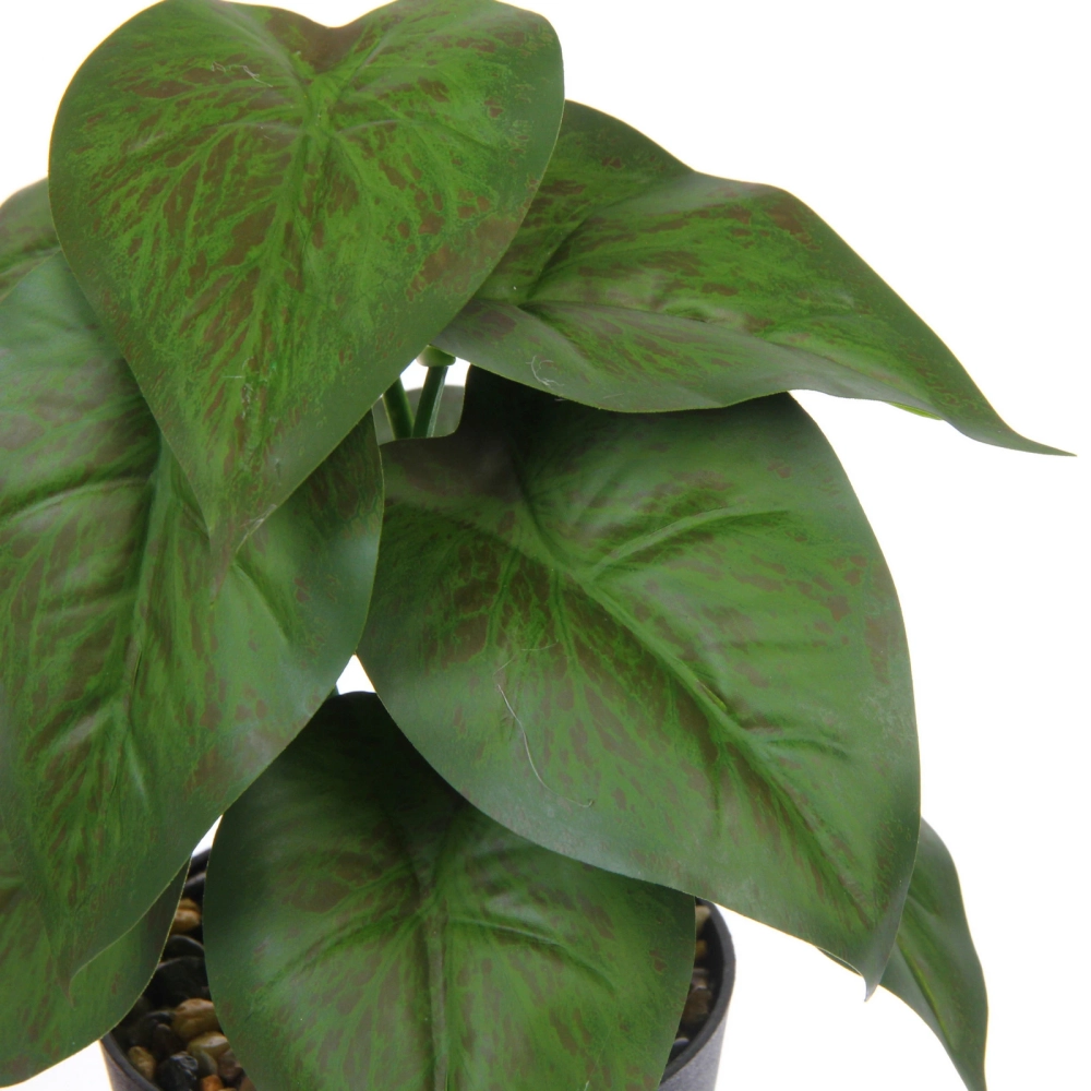 Цветок искусственный в горшке «Эпипремниум» 22см