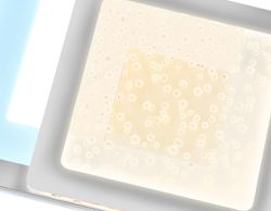 Ambrella Настенный светодиодный светильник с акрилом Original FA426