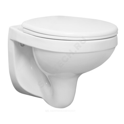 Унитаз подвесной горизонтальный выпуск с сиденьем полипропилен микролифт белый Альфа Комфорт Santeri 1.3256.4.S00.00B.0