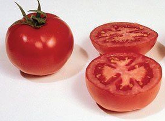 ГС 12 F1 семена томата детерминантного (Syngenta) отзывы