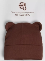 Шапка детская осенняя с ушками и снуд