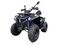Квадроцикл GLADIATOR F200 Premium