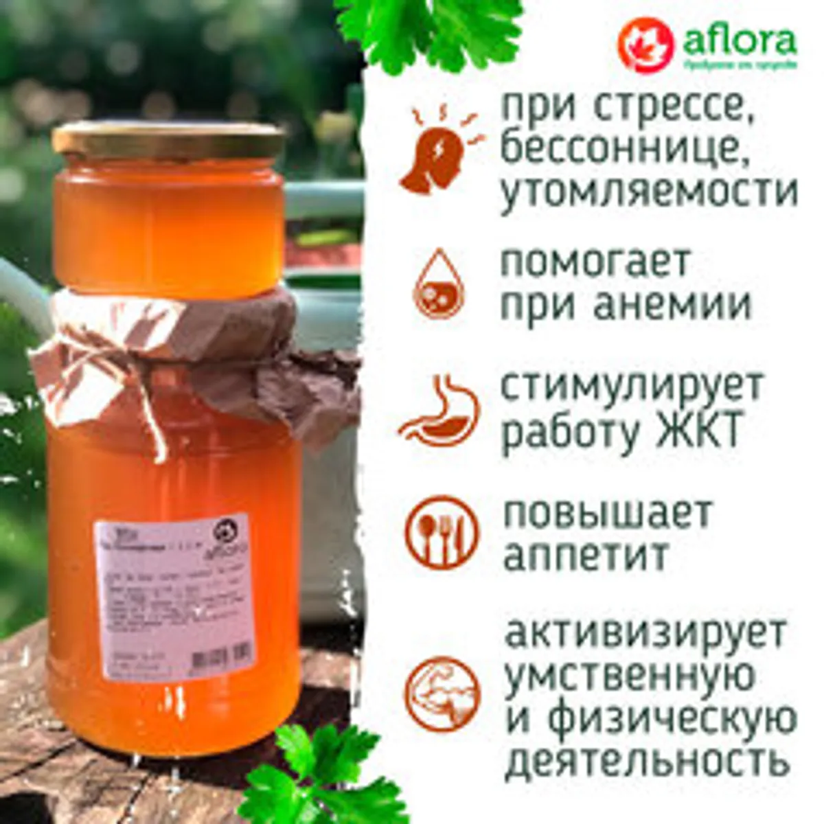 Мед Кориандровый с гречихой и травами / 650 гр