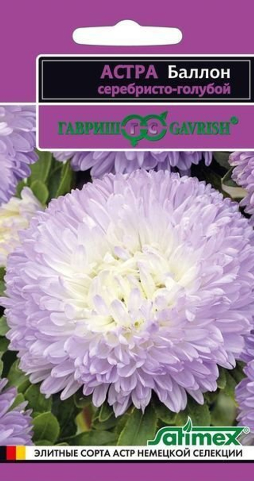 Астра Баллон серебристо-голубой