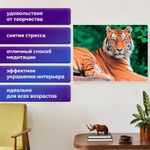 Картина стразами (алмазная мозаика) 40х50 см, ОСТРОВ СОКРОВИЩ "Тигр", на подрамнике, 662427