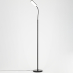 Citilux Alex CL804051 Торшер с пультом Чёрный