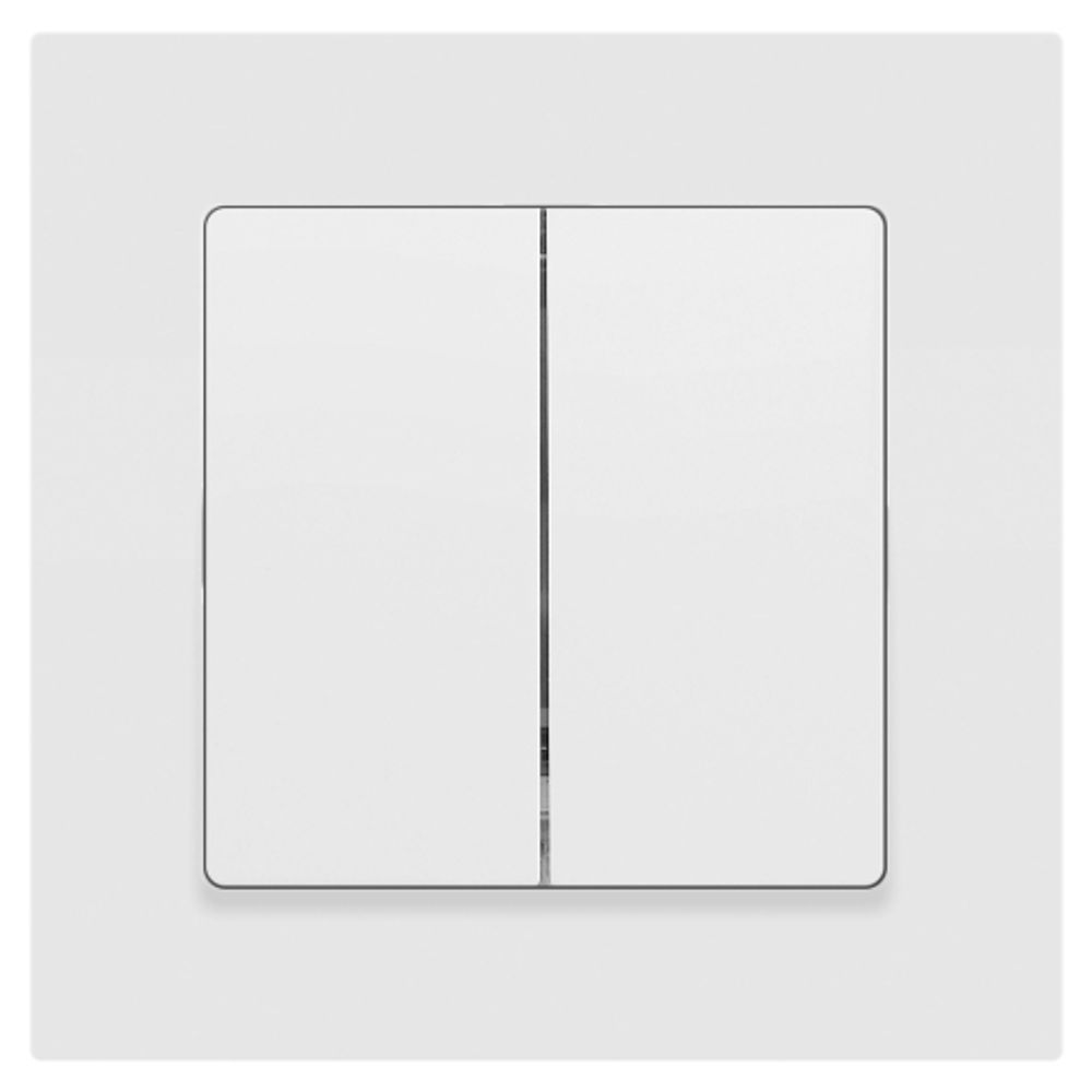 Переключатель Intro Accent 6-107-01М двойной, 10А-250В, IP20, СУ, AL/CU, белый матовый