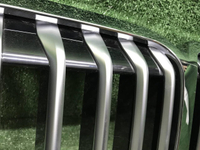 Решетка радиатора BMW X7 G07 (2019-2022)