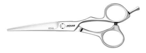 Ножницы прямые Jaguar Silver Line Xena 5.5"