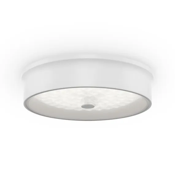 Потолочный светильник FR10011CL-L24W Элементы 24 Вт LED Freya fr10011cl-l24w