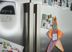 Магниты Cactus, 6 шт. Qualy