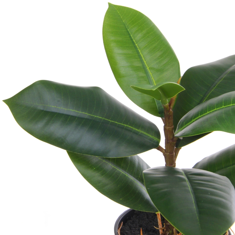 Цветок искусственный в горшке «Фикус» 26см