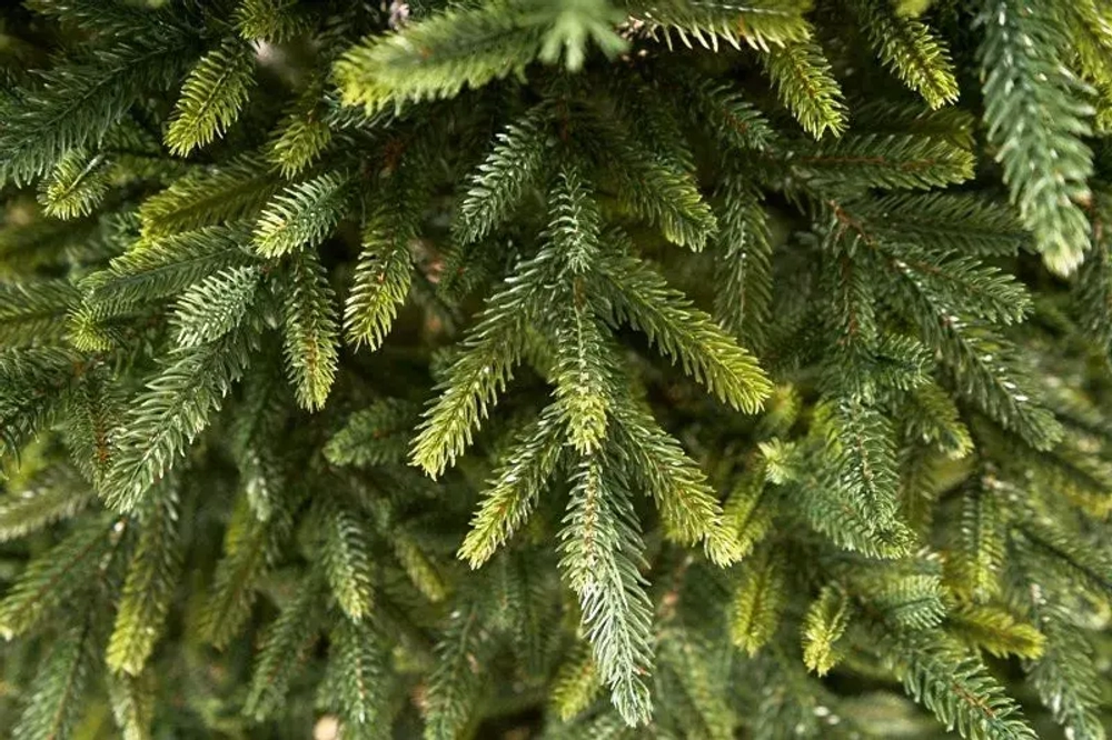 Искусственная ель Испанская 210 см., Литая 100%, Max Christmas (ЕЛИСП21)