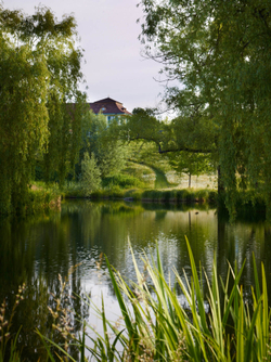 Gardens in my life. Arabella Lennox-Boyd