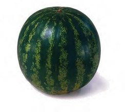 Кримстар F1 семена арбуза (Sakata / Саката)