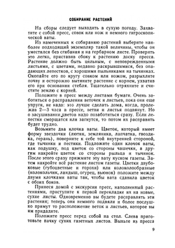 Самодельные коллекции по ботанике и зоологии. Знай и умей | С. Павлович