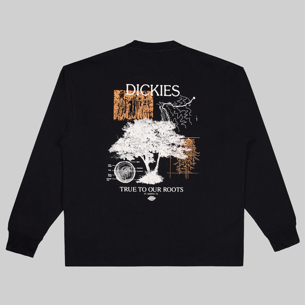 Лонгслив мужской Dickies Kenbridge Tee артикул:DK0A4YVRBLK1 - купить в магазине Дайс