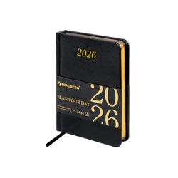 Ежедневник датированный А6 BRAUBERG "Iguana" (117252)