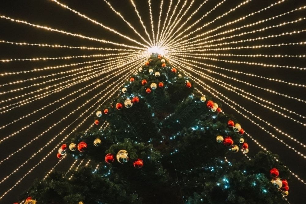 Светодинамическая елка ствольная - встроенная гирлянда: Холодный свет - "Таежная" от 11 до 21 м