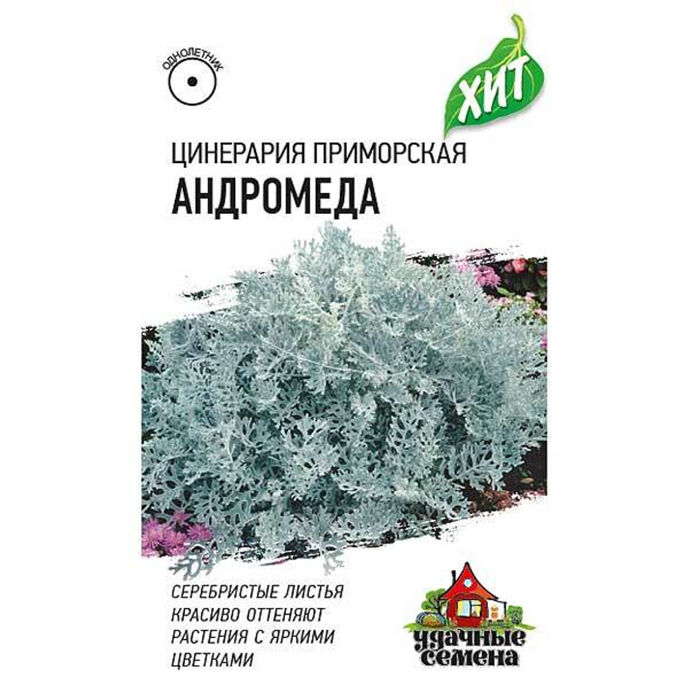Цинерария Андромеда прим. (метал) Гавриш Ц